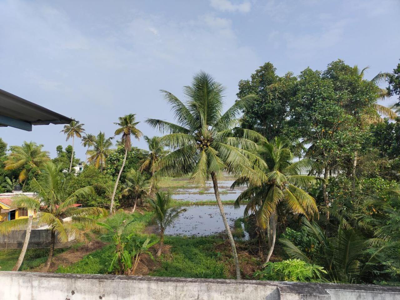 Paddy N Canal Homestay Alappuzha Εξωτερικό φωτογραφία
